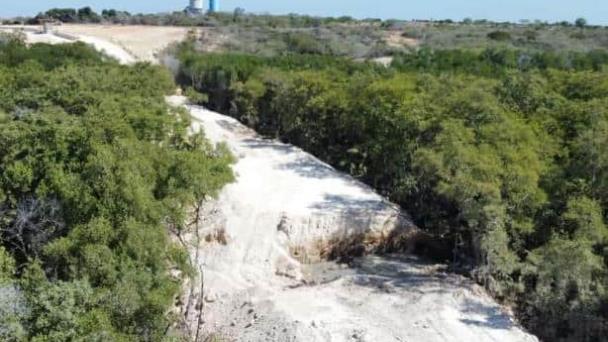 Medio Ambiente admite violaciones en construcción de muro en área protegida de Montecristi