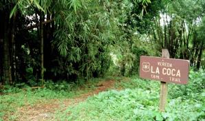 Adolescente de EE.UU. muere por causas desconocidas en bosque de Puerto Rico