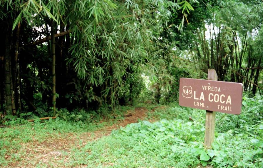 Adolescente de EE.UU. muere por causas desconocidas en bosque de Puerto Rico