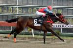 El Hipódromo V Centenario celebra Clasico Independencia con RD$6.5 millones en el Poolpote El Hipódromo V Centenario celebra Clasico Independencia con RD$6.5 millones en el Poolpote