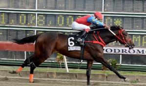 Triple corona de la hípica inicia el sábado en el V Centenario