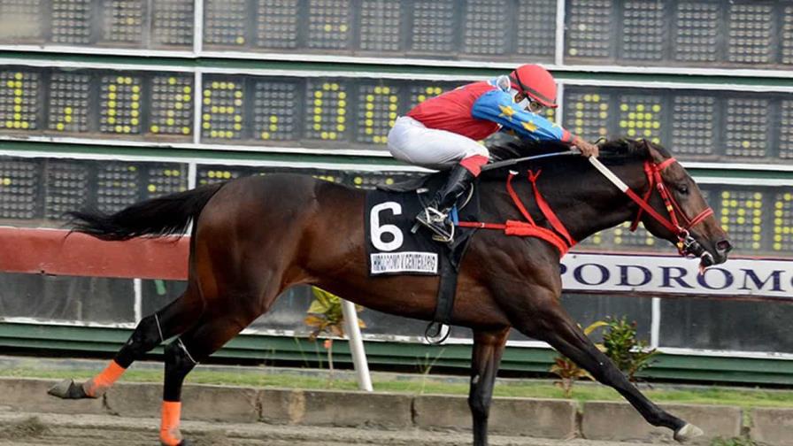 Triple corona de la hípica inicia el sábado en el V Centenario Triple corona de la hípica inicia el sábado en el V Centenario