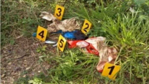 Colectan nuevas evidencias en caso de Esmeralda Richiez