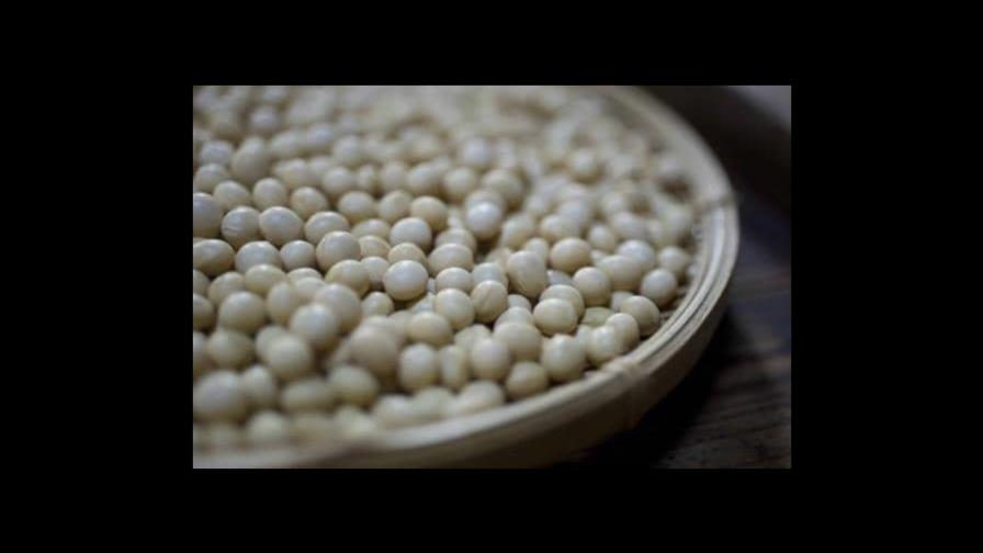 Lecitina de soja, un aliado natural contra las grasas