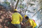 Pedirán arresto a responsables de incendio forestal en Barahona