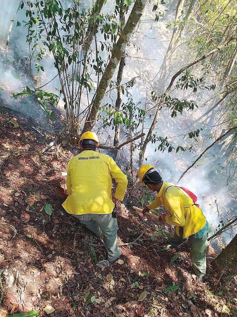 Pedirán arresto a responsables de incendio forestal en Barahona