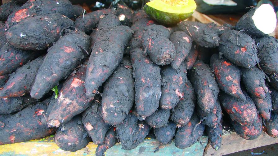 Productos agrícolas subieron más de 20 % en un año Productos agrícolas subieron más de 20 % en un año