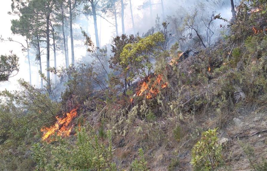 Se sigue propagando incendio forestal en Parque Nacional Valle Nuevo