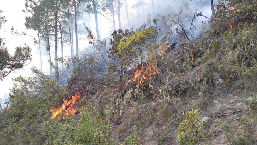 Se sigue propagando incendio forestal en Parque Nacional Valle Nuevo