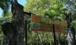 Puerto Rico clausurará su único zoológico tras seis años cerrado al público