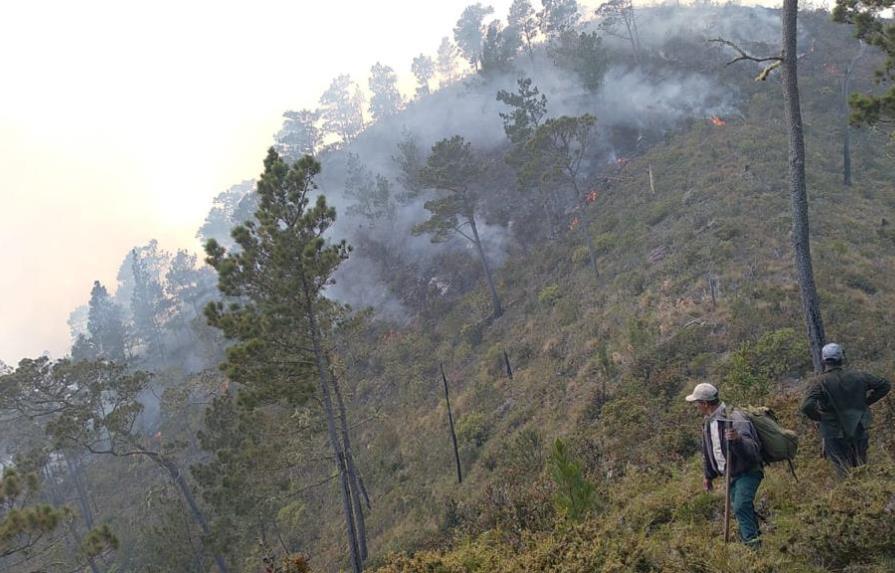 Reportan control de incendio forestal en varios puntos de Valle Nuevo