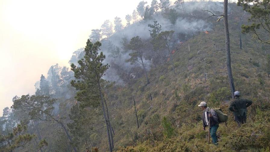 Reportan control de incendio forestal en varios puntos de Valle Nuevo