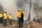 Medio Ambiente busca atacar cabeza del fuego en Valle Nuevo