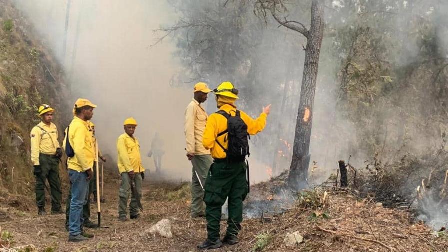 Medio Ambiente busca atacar cabeza del fuego en Valle Nuevo