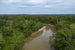 Se inicia la cumbre de Gabón sobre protección de bosques tropicales