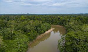 Se inicia la cumbre de Gabón sobre protección de bosques tropicales