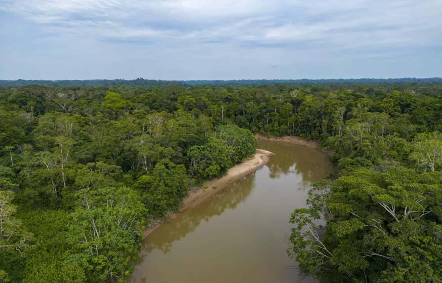 Se inicia la cumbre de Gabón sobre protección de bosques tropicales