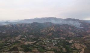 Fuegos forestales, presuntamente provocados, afectan San Juan