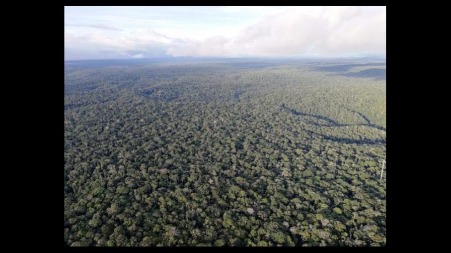 La deforestación provoca la reducción de las precipitaciones en los trópicos