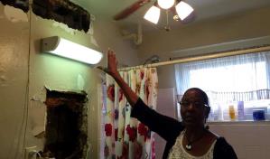 Nueva York reduce quejas por moho en viviendas públicas tras acuerdo federal