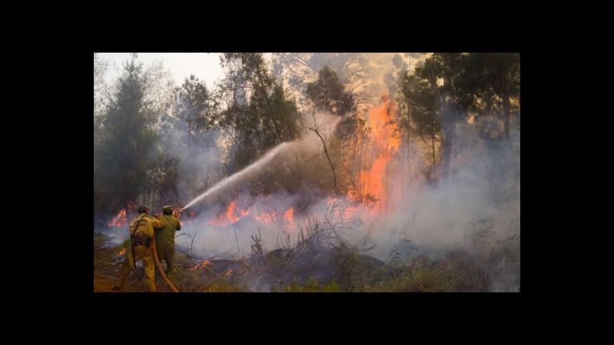 Incendios consumen 3,600 hectáreas y dañan especies en Cuba