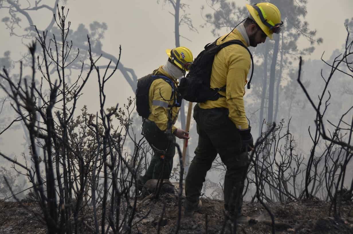 Bomberos forestales en Valle Nuevo.