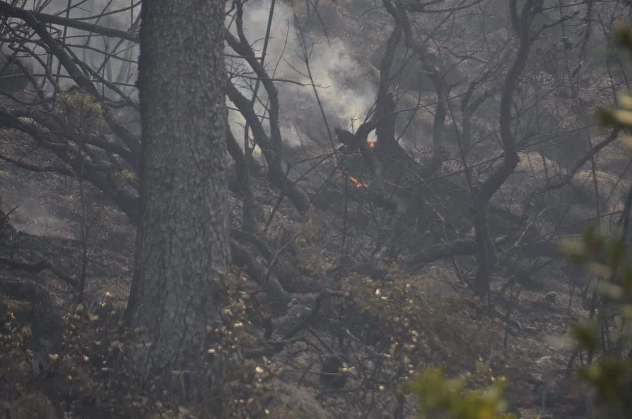 Los bomberos forestales se valen de los residentes en los predios del área protegida.