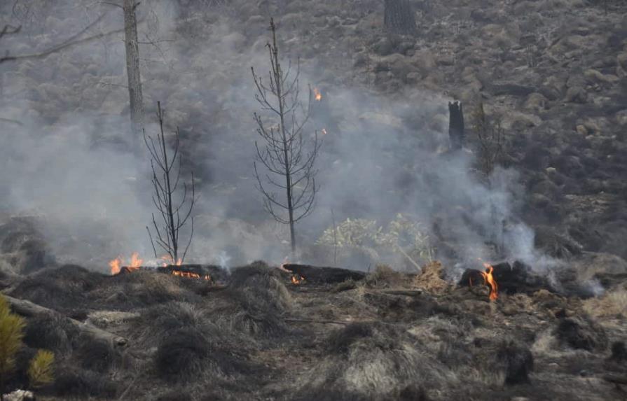 Brigadistas continúan en zona afectada por fuego forestal en Valle Nuevo