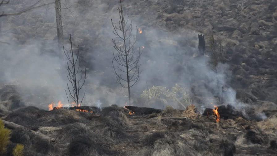 Incendio forestal en Valle Nuevo: el más grande en los últimos 10 años