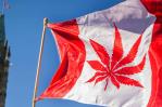 Canadá permite a una compañía producir y vender cocaína