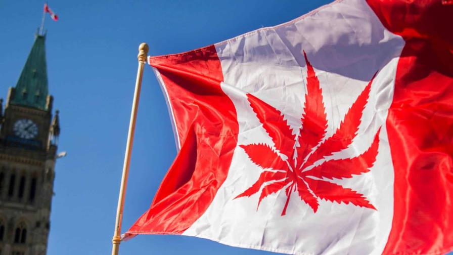 Canadá permite a una compañía producir y vender cocaína Canadá permite a una compañía producir y vender cocaína