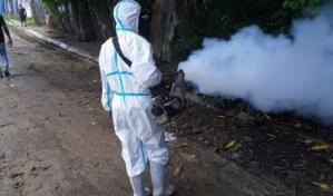 Eliminar criaderos de mosquitos, clave para que los riesgos de chikungunya sean bajos