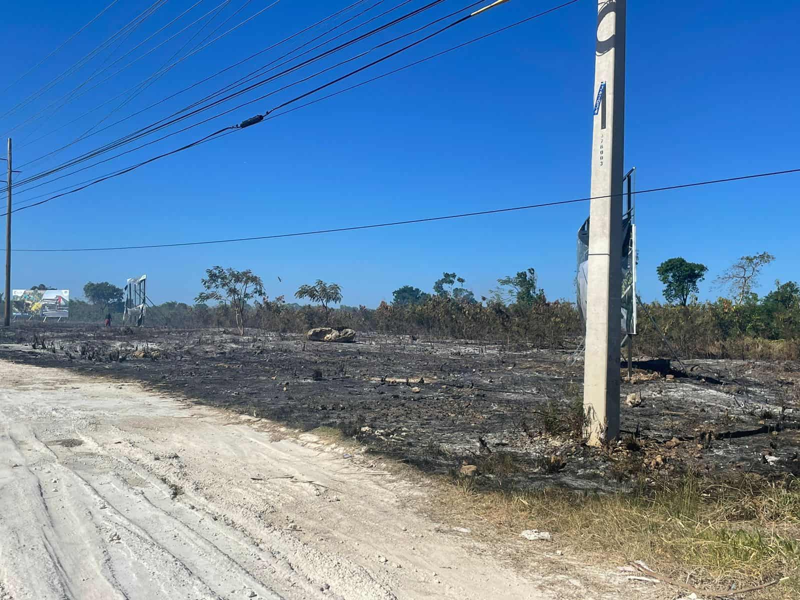 Parte de los daños generados por uno de los incendios forestales en la zona de Bávaro.&nbsp;