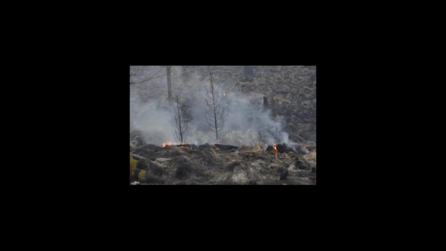 Incendio forestal que afecta Valle Nuevo recobra fuerza Incendio forestal que afecta Valle Nuevo recobra fuerza