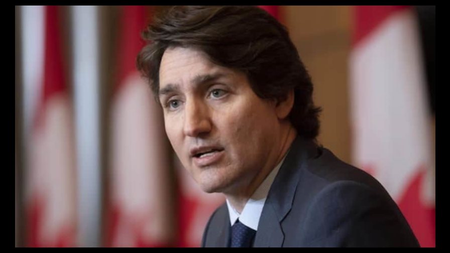 Trudeau aclara que licencias de cocaína en Canadá no serán para vender drogas al público