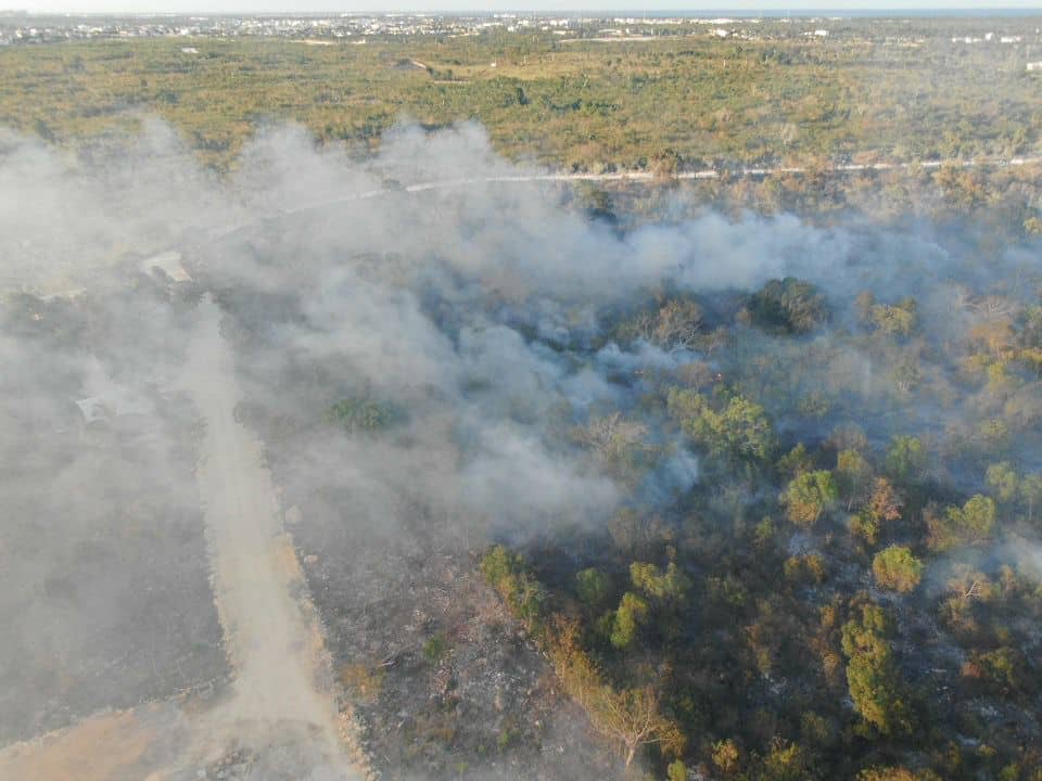 La humareda generada por uno de los fuegos forestales.&nbsp;