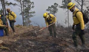 La Vega fue la provincia que registró más incendios forestales durante el 2022