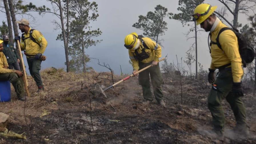 La Vega fue la provincia que registró más incendios forestales durante el 2022 La Vega fue la provincia que registró más incendios forestales durante el 2022