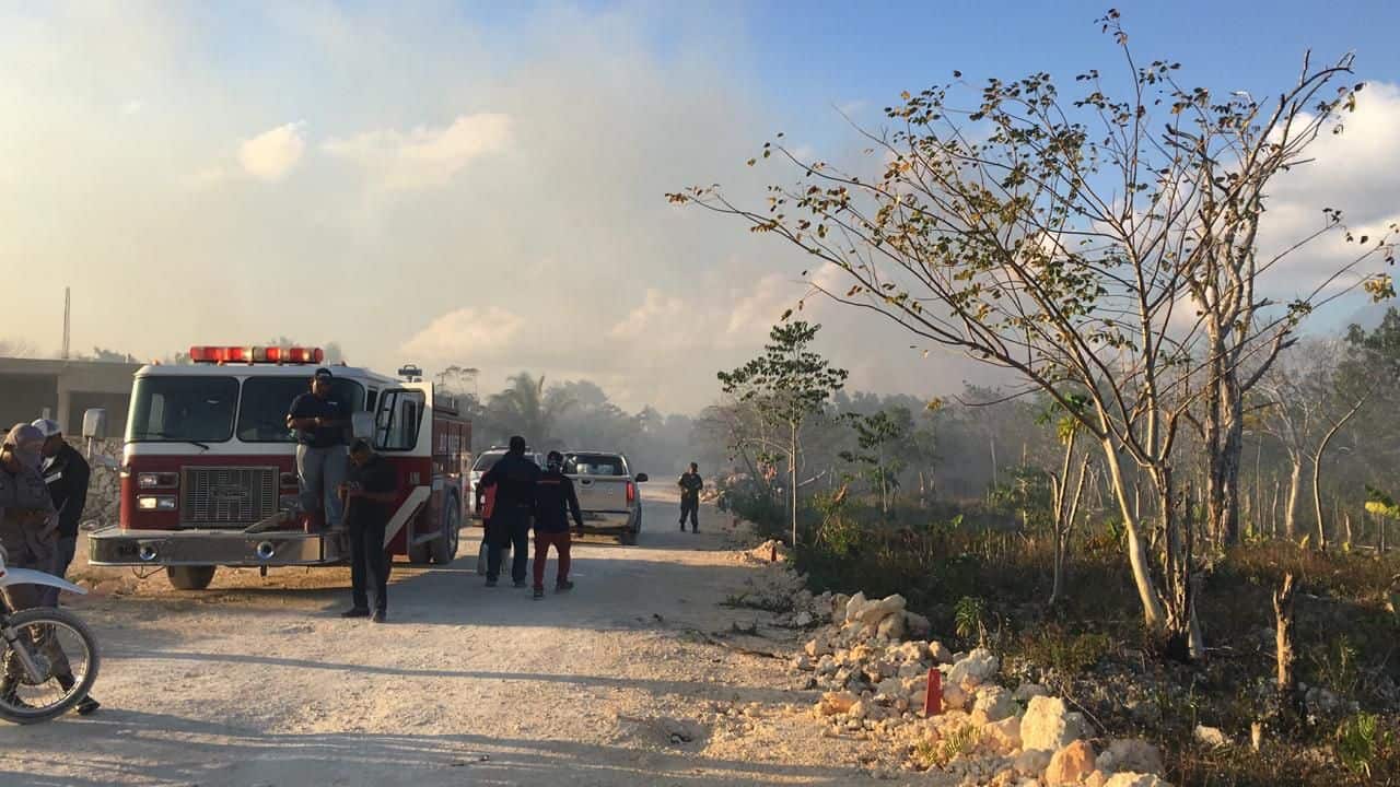 Bomberos y miembros de otras unidades de asistencia participan de la extinción de un incendio forestal en Bávaro.