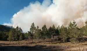 Valle Nuevo: siete d&iacute;as bajo llamas