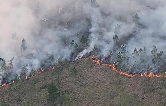 Medio Ambiente: Incendio forestal en Valle Nuevo estaría neutralizado en las próximas horas
