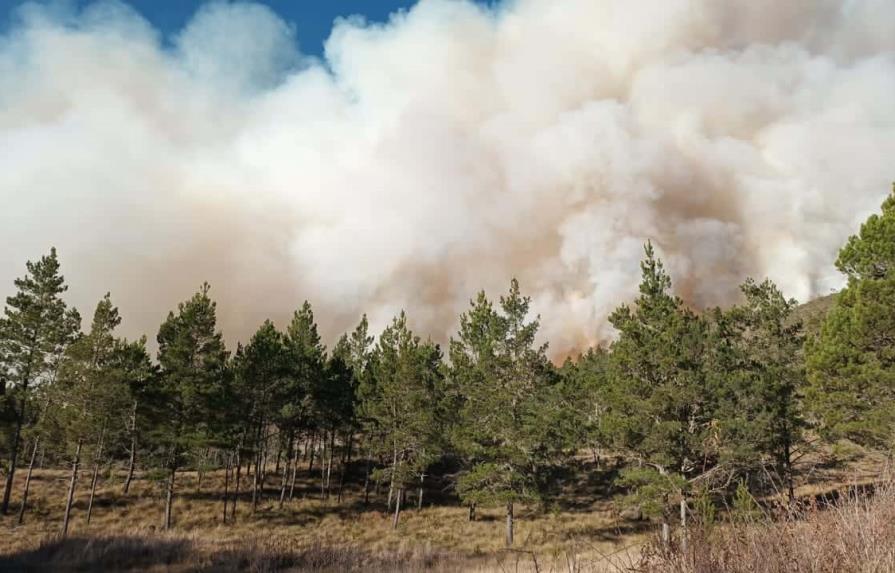 Ministerio de Medio Ambiente declara el final del incendio en Valle Nuevo