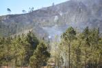 Imágenes del incendio forestal en Valle Nuevo Imágenes del incendio forestal en Valle Nuevo