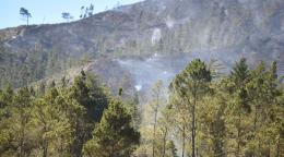 Latinoam&eacute;rica analiza c&oacute;mo impulsar la agricultura mientras se frena la deforestaci&oacute;n