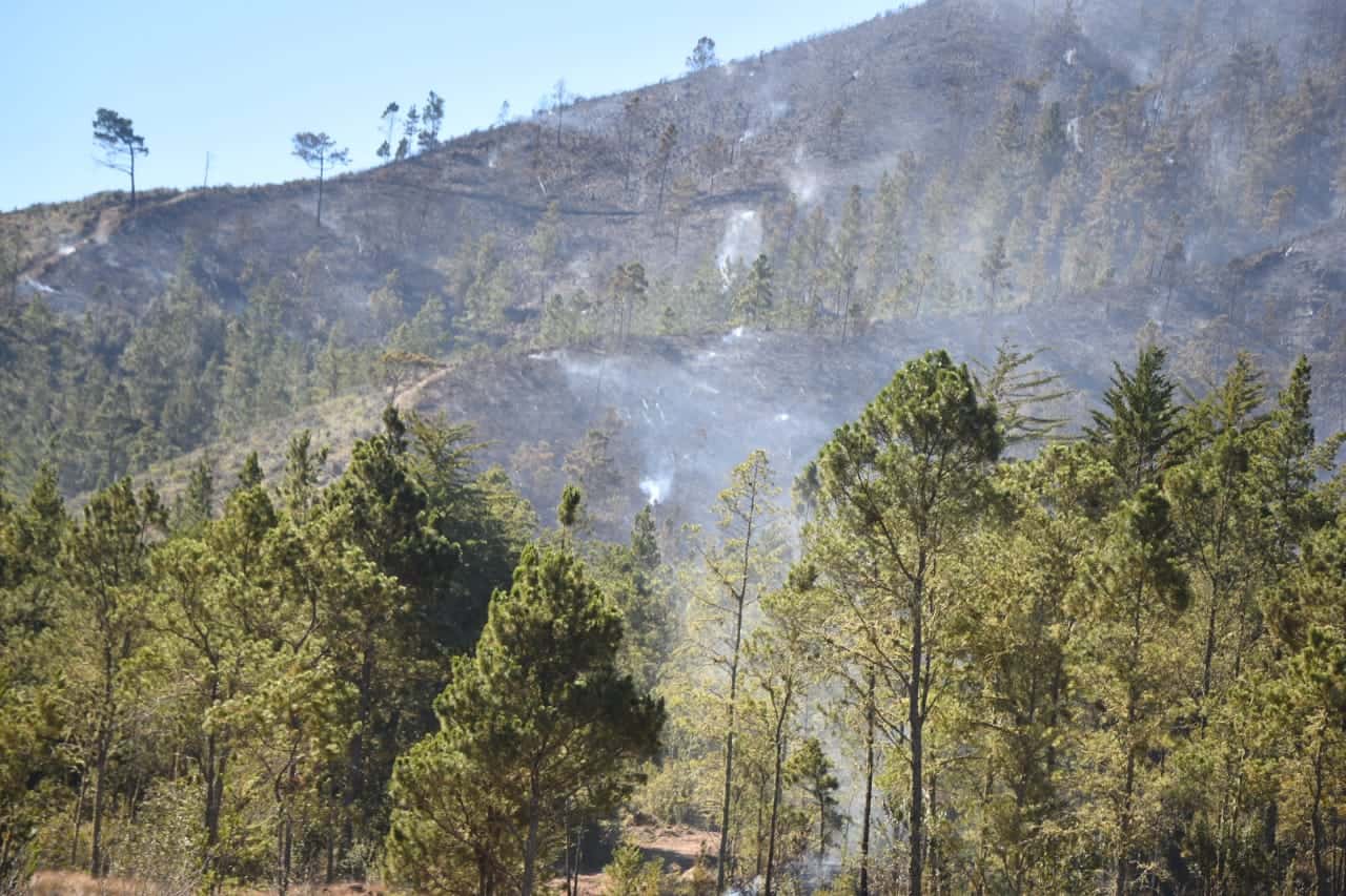Imágenes del incendio forestal en Valle Nuevo