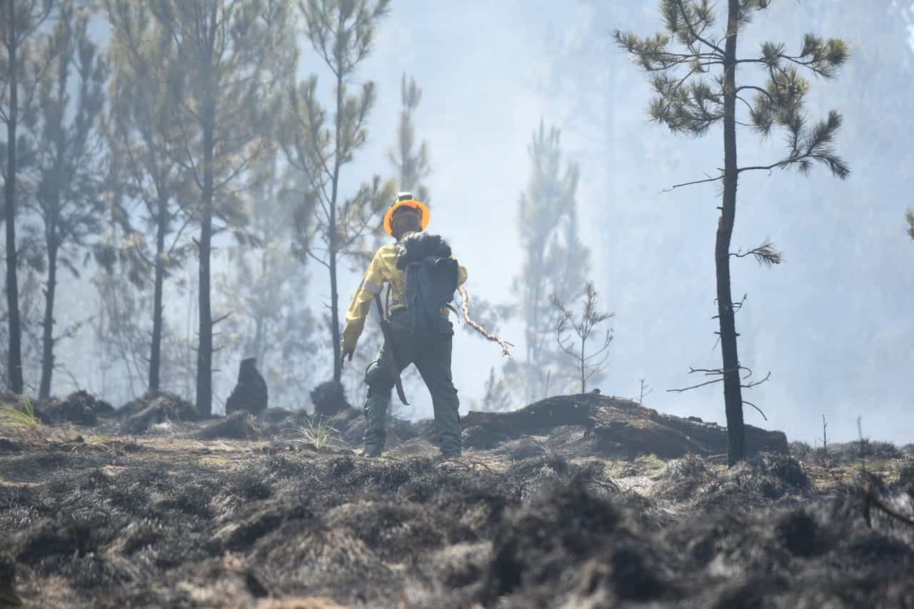 Un bombero forestal sofocando el fuego.