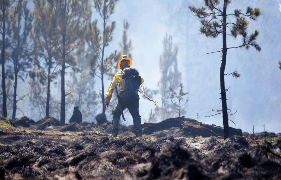 Tras 10 días de batalla, bomberos forestales lograron detener el incendio en Valle Nuevo
