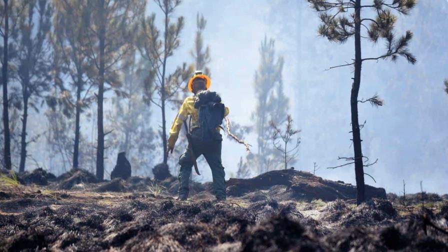 Bomberos forestales eliminan incendios en las lomas de San Juan y Monseñor Nouel
