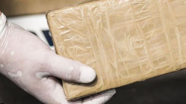 Detienen en Florida a 15 inmigrantes y decomisan 1.8 kilos de fentanilo