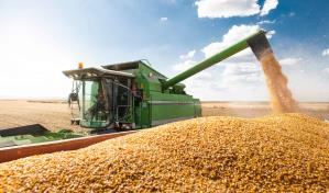 EEUU solicita consultas formales a México en controversia por maíz transgénico